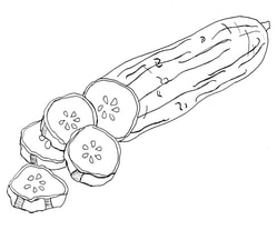 Line drawing of sliced cuke