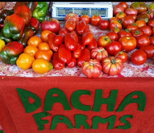 Dacha Farm's table full of tomatoes
