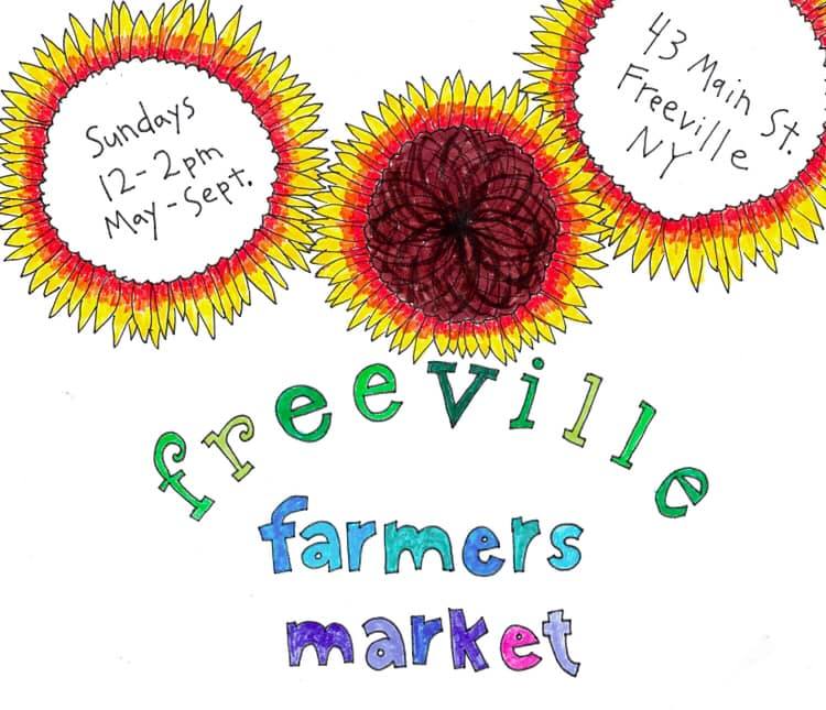 Freeville Farmers Market drawing with sunflowers